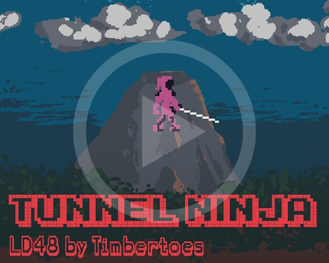 LD48 - Tunnel Ninja