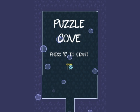 Puzzle Cove