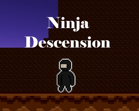 Ninja Descension