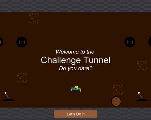 Challenge Tunnel