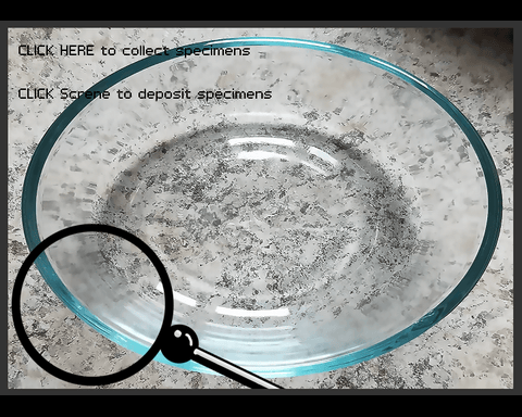 Create a Small World