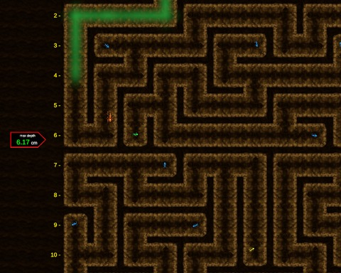 Run Ant Run