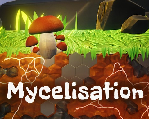Mycelisation