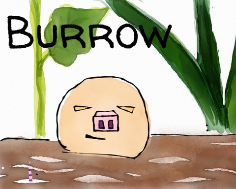 Burrow
