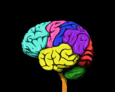 Brain Dive