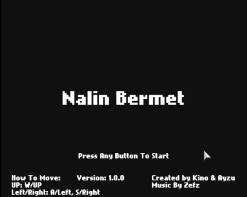 Nalin Bermet