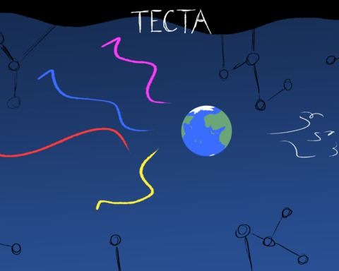 Tecta