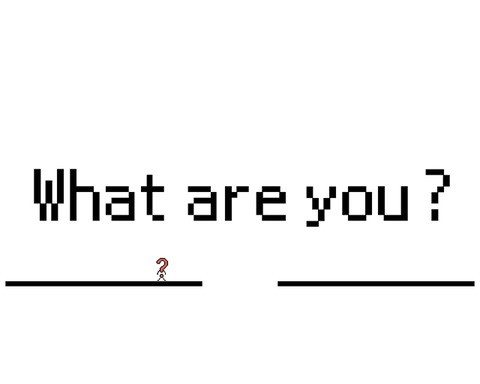 Questioner