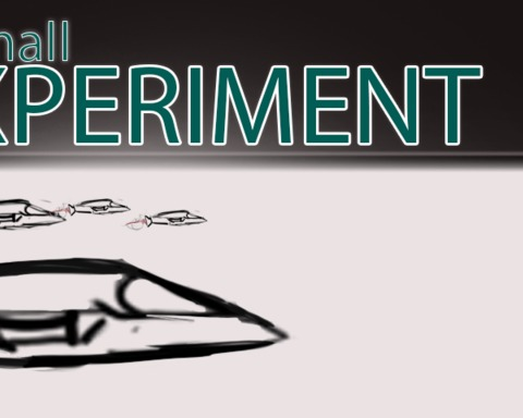 A Small EXPERIMENT