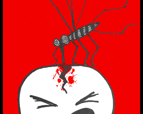 Mosquito got my Brain