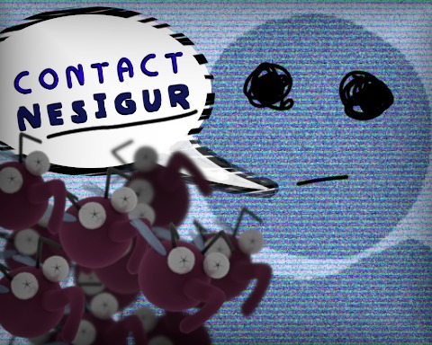Contact Nesigur
