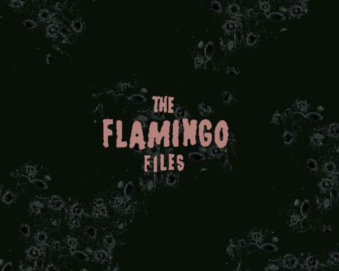 The Flamingo Files