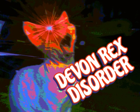 Devon Rex Disorder
