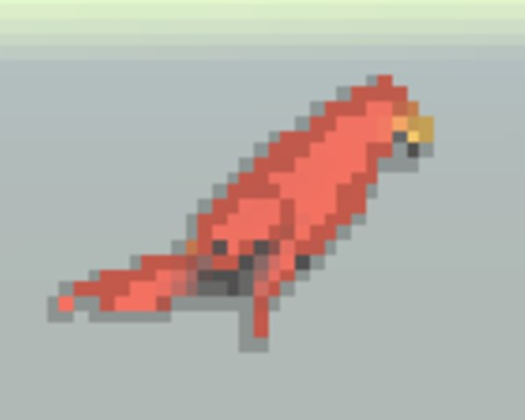 Bird Game!!!