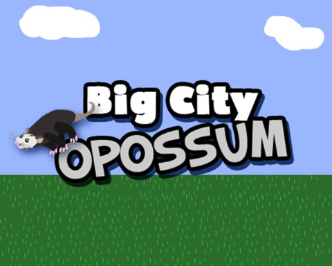 Big City Opossum