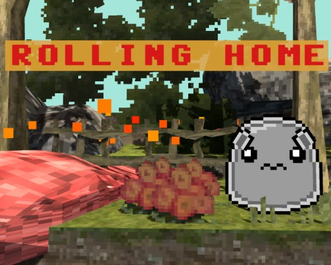 Rolling Home