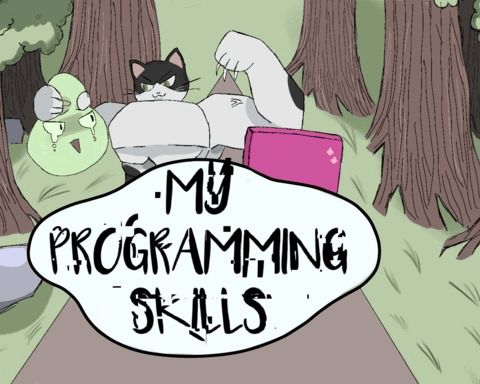 My Programming Skills