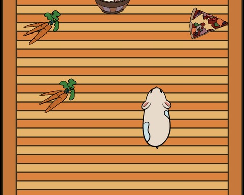 Mr Hamster training session