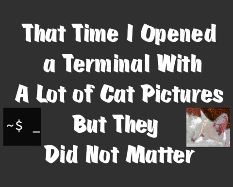 That Time I Opened A Terminal With A Lot Of Cat Pictures But They Did Not Matter