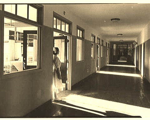 Asylum