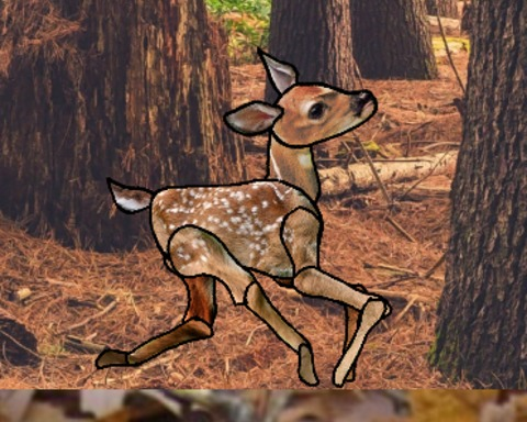 Careful Deer