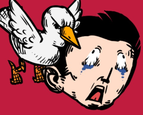 Bird Attack ! 