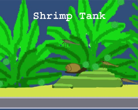 Shrimp Tank