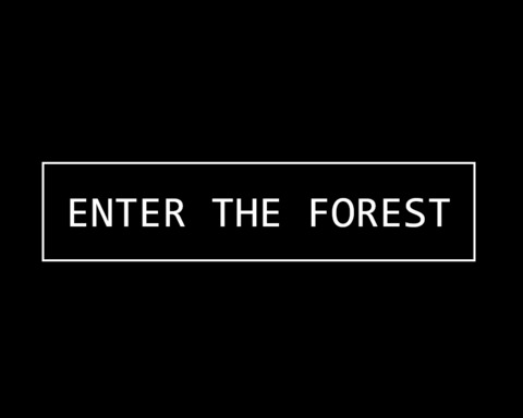 Enter The Forest