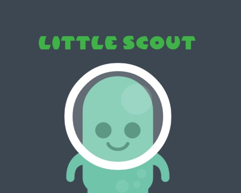 Little Scout