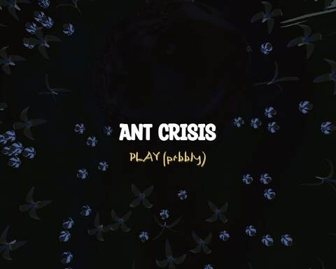 Ant CRISIS