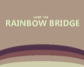 Over the Rainbow Bridge