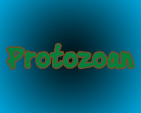Protozoan