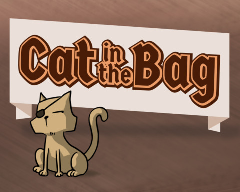Cat in the Bag