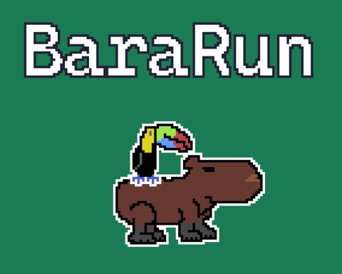 BaraRun
