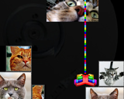 Cat Fragmentator