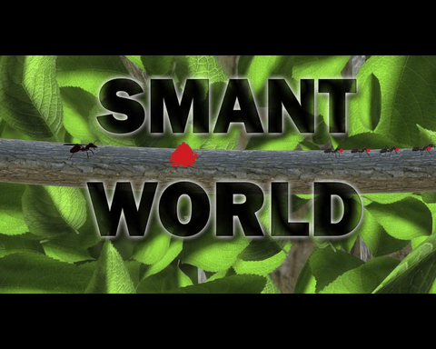 Smant World