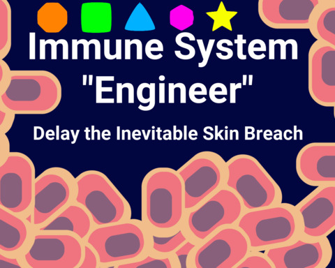 Immune System