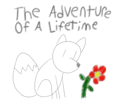 The Adventure of a Lifetime