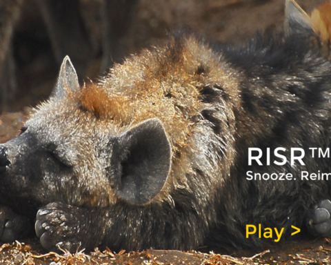 RISR