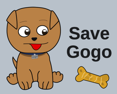 Save Gogo