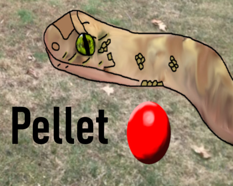 Pellet