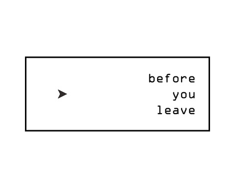 Before You Leave