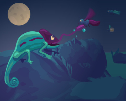 Sleep Keeper