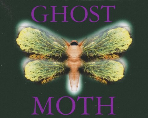 Ghost Moth (demo)