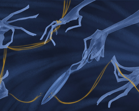 Thread of fate