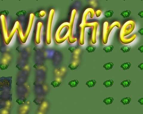 Wildfire