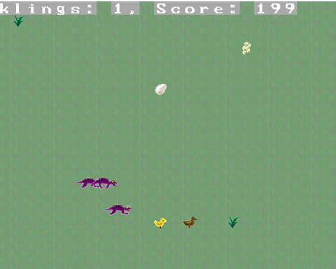 Wild Mongoose Chase