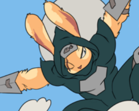 Bunny Ninja Heist