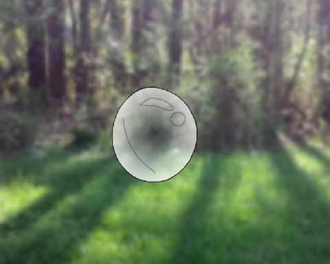 Don't Pop the Bubble!