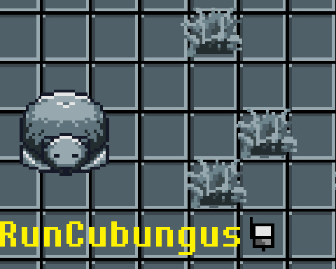 RunCubungus